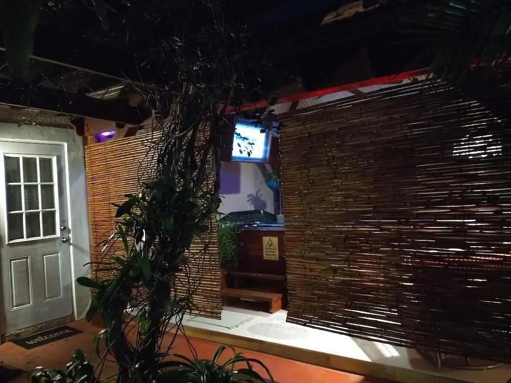 Tampa Bay Beautiful Apartment And Private Jacuzzi США